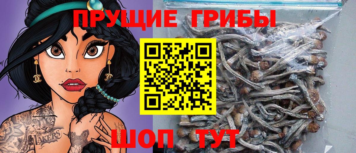 Углич  Псилоцибиновые грибы мухоморы  Вход с VPN 