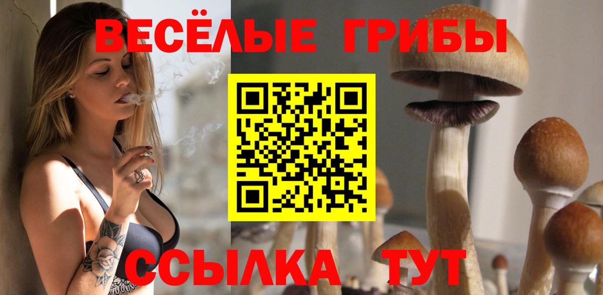 Псилоцибиновые грибы Psilocybe Углич
